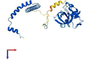 AlphaFold protein structure predicition of Human Recombinant NSA2 Protein, UniprotID O95478