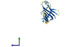 AlphaFold protein structure predicition of Mouse Recombinant Cd70 Protein, UniprotID O55237
