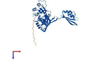 AlphaFold protein structure predicition of Mouse Recombinant Nif3l1 Protein, UniprotID Q9EQ80