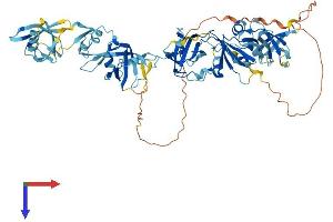 AlphaFold protein structure predicition of Human Recombinant THEMIS2 Protein, UniprotID Q5TEJ8