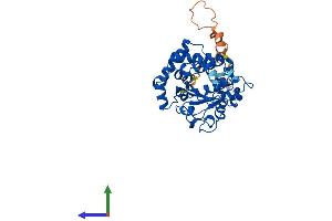 AlphaFold protein structure predicition of Human Recombinant TTPAL Protein, UniprotID Q9BTX7