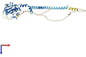 AlphaFold protein structure predicition of Human Recombinant PCYT1B Protein, UniprotID Q9Y5K3
