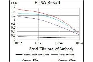 Red: Control Antigen (100 ng), Purple: Antigen (10 ng), Green: Antigen (50 ng), Blue: Antigen (100 ng), (PPP2CB anticorps)