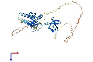 AlphaFold protein structure predicition of Human Recombinant SKAP1 Protein, UniprotID Q86WV1
