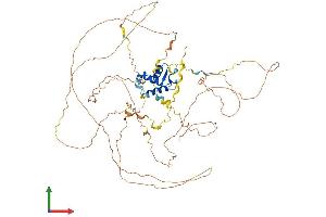 AlphaFold protein structure predicition of Human Recombinant FOXO3 Protein, UniprotID O43524