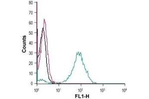 Cell surface detection of GPR55 in live intact human THP-1 monocytic leukemia cells: (black line) Cells.