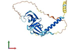 AlphaFold protein structure predicition of Mouse Recombinant Oip5 Protein, UniprotID A2AQ14