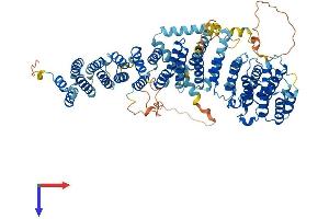 AlphaFold protein structure predicition of Human Recombinant EFR3A Protein, UniprotID Q14156