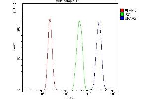 Flow Cytometry analysis of HL-60 cells using anti-ERAP2 antibody (ABIN7599949).