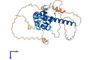 AlphaFold protein structure predicition of Mouse Recombinant Bcl2l14 Protein, UniprotID Q9CPT0