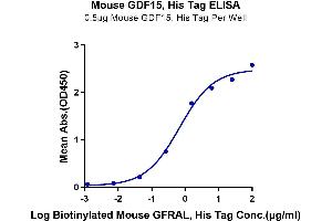 Immobilized Mouse GDF15, His Tag at 5 μg/mL (100 μL/Well) on the plate. (GDF15 Protein (AA 189-303) (His tag))