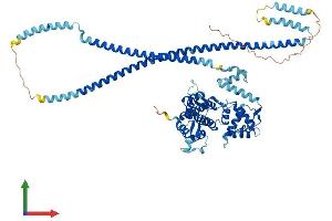 AlphaFold protein structure predicition of Human Recombinant TSNAXIP1 Protein, UniprotID Q2TAA8