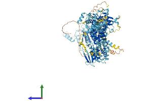 AlphaFold protein structure predicition of Human Recombinant NAT10 Protein, UniprotID Q9H0A0
