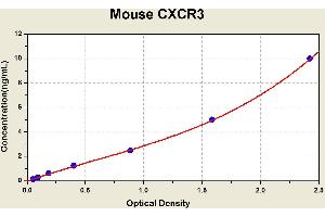 Diagramm of the ELISA kit to detect Mouse CXCR3with the optical density on the x-axis and the concentration on the y-axis. (CXCR3 Kit ELISA)