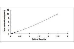 Typical standard curve (NGFR Kit ELISA)