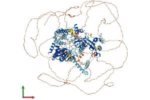 AlphaFold protein structure predicition of Mouse Recombinant Blm Protein, UniprotID O88700