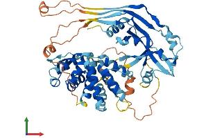 AlphaFold protein structure predicition of Mouse Recombinant Gsdmc3 Protein, UniprotID Q8CB12