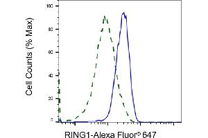 Validation of RING1 knockdown using flow cytometry. (Recombinant RING1 anticorps)