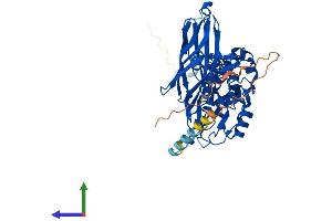 AlphaFold protein structure predicition of Mouse Recombinant Fbxo3 Protein, UniprotID Q9DC63