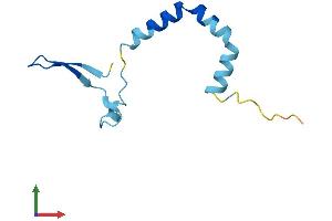 AlphaFold protein structure predicition of Human Recombinant CNPY1 Protein, UniprotID Q3B7I2