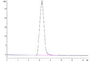 The purity of Mouse CD59a is greater than 95 % as determined by SEC-HPLC.