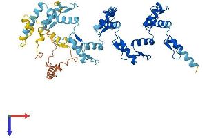AlphaFold protein structure predicition of Human Recombinant ZNF25 Protein, UniprotID P17030