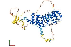 AlphaFold protein structure predicition of Mouse Recombinant Lrrc42 Protein, UniprotID Q8R2U7