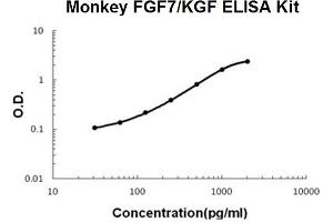 Monkey Primate FGF7/KGF PicoKine ELISA Kit standard curve (FGF7 Kit ELISA)