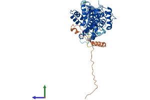 AlphaFold protein structure predicition of Human Recombinant CHN2 Protein, UniprotID P52757