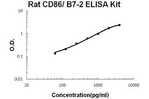 Rat CD86/B7-2 PicoKine ELISA Kit standard curve (CD86 Kit ELISA)