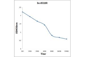 Antigen: 2 µg/100 µL  Primary: Antiserum, 1:500, 1:1000, 1:2000, 1:4000, 1:8000, 1:16000, 1:32000;  Secondary: HRP conjugated Rabbit Anti-Goat IgG at 1: 5000;  TMB staining Read the data in Microplate Reader by 450nm.