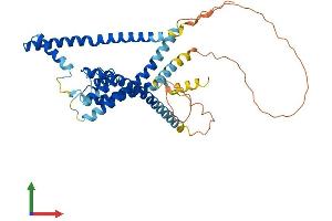 AlphaFold protein structure predicition of Mouse Recombinant Kcnk13 Protein, UniprotID Q8R1P5