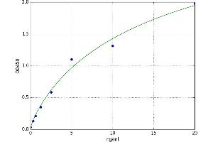 Small Ubiquitin Related Modifier 2 (SUMO2) ELISA Kit