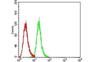 Flow cytometric analysis of Hela cells using IGF2BP3 mouse mAb (green) and negative control (red).