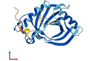 AlphaFold protein structure predicition of Mouse Recombinant Hebp1 Protein, UniprotID Q9R257