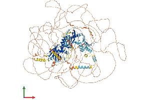 AlphaFold protein structure predicition of Human Recombinant MED1 Protein, UniprotID Q15648