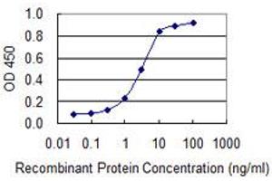 anti-Carcinoembryonic Antigen-Related Cell Adhesion Molecule 6 (CEACAM6) (AA 156-265) antibody