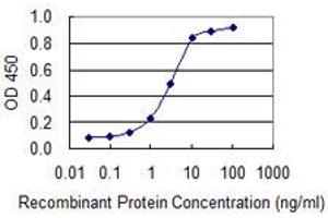 Detection limit for recombinant GST tagged CEACAM6 is 0. (CEACAM6 anticorps  (AA 156-265))