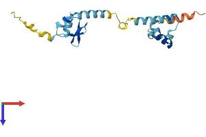 AlphaFold protein structure predicition of Human Recombinant CGGBP1 Protein, UniprotID Q9UFW8