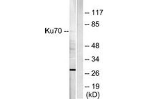 Western blot analysis of extracts from HepG2 cells, using Ku70 Antibody. (XRCC6 anticorps  (AA 560-609))