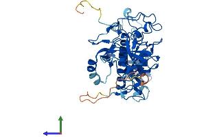 AlphaFold protein structure predicition of Human Recombinant SUV39H1 Protein, UniprotID O43463