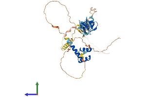 AlphaFold protein structure predicition of Human Recombinant LHX9 Protein, UniprotID Q9NQ69