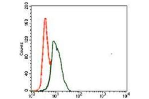 Flow cytometric analysis of HeLa cells using SPI1 mouse mAb (green) and negative control (red).