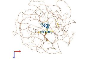 AlphaFold protein structure predicition of Human Recombinant TCOF1 Protein, UniprotID Q13428
