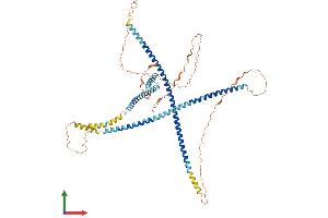 AlphaFold protein structure predicition of Human Recombinant TSKS Protein, UniprotID Q9UJT2