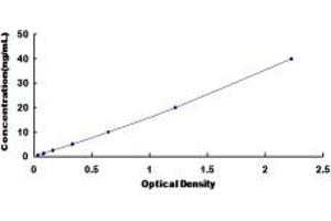 Typical standard curve (NAT2 Kit ELISA)