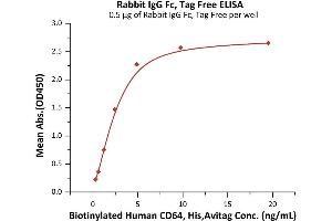 Immobilized Rabbit IgG Fc, Tag Free (ABIN6992349) at 5 μg/mL (100 μL/well) can bind Biotinylated Human CD64, His,Avitag (ABIN5954991,ABIN6253649) with a linear range of 0. (IgG Fc (AA 105-323) (Active) Protéine)