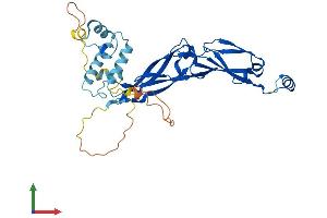 AlphaFold protein structure predicition of Human Recombinant DNAJB5 Protein, UniprotID O75953