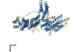 AlphaFold protein structure predicition of Human Recombinant CTNNA3 Protein, UniprotID Q9UI47