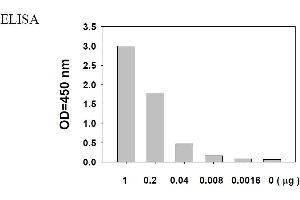 Image no. 2 for Epidermal Growth Factor Receptor (EGFR) ELISA Kit (ABIN1981738) (EGFR Kit ELISA)
